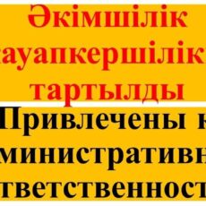 Ряд субъектов оштрафовали в Шымкенте