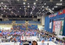 Спортсменка из Толебийского района стала бронзовым призером Кубка мира по кикбоксингу