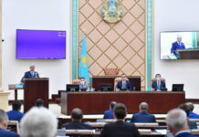 В Казахстане может появиться новое пособие сенат