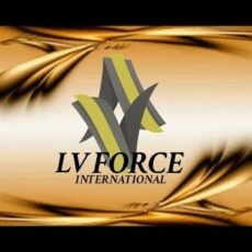 Раскрыта финпирамида «LV Force» в Казахстане финансовая пирамида