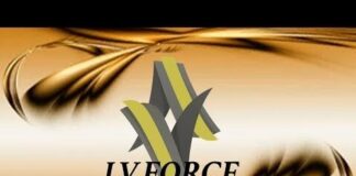 Раскрыта финпирамида «LV Force» в Казахстане финансовая пирамида