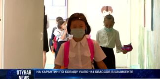 В школах Шымкента у 248 учащихся выявлены симптомы короновируса