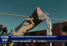 Пять самосвалов мусора вывезли с берегов Карасу