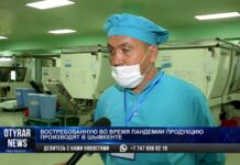 Востребованную во время пандемии продукцию производят в Шымкенте