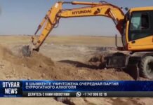 В Шымкенте уничтожили паленый алкоголь