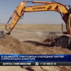 В Шымкенте уничтожили паленый алкоголь
