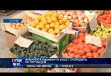 Когда и где будет проходить ярмарка в Шымкенте