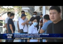 Груженные фруктами фуры застряли на границе