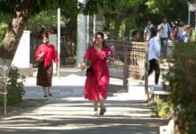 Есть мнение: «Мораторий надо продлить, без этого бизнес не выживет»