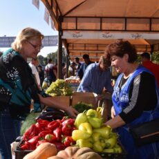 Где в Шымкенте три раза в неделю проходит продуктовая ярмарка