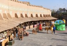 На конкурс «Shymkent 2200: образ туристического креативного города» поступило 70 заявок форум