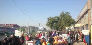 Торговали, где нельзя: 1326 шымкентцам выписали штраф Торговля в неустановленных местах