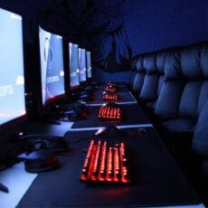 Незаконный игорный бизнес организовал житель Тюлькубасского района