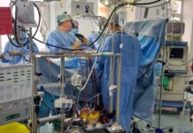 В Шымкенте прошел мастер-класс кардиохирургов мастер-класс кардиологов