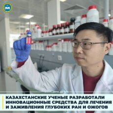 Ученые МОН РК разработали средства для лечения глубоких ран и ожогов МОН РК