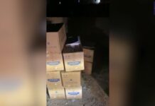 Житель Шымкента осужден за сбыт контрафактных сигарет контрафактные сигареты