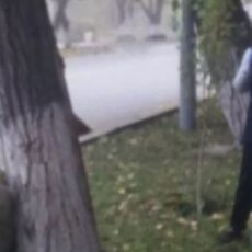 Министр образования: Учителя должны заниматься только прямыми функциональными обязанностями