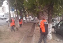 В Шымкенте чистят ирригационные арыки арык