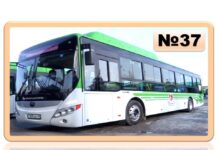 Схема движения автобусного маршрута № 37