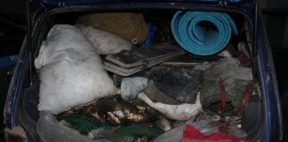 Трех браконьеров задержали туркестанские полицейские