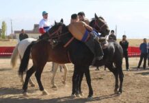 В Ленгере прошли областные «Игры кочевников»