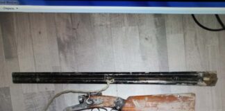 Полицейские Туркестанской области изъяли у браконьеров туши зайца и краснокнижного джейрана ружье