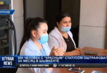 Санврачи оштрафовали 500 жителей Шымкента с «красным» статусом