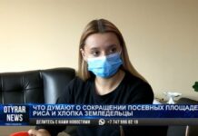 Крестьяне против сокращения полей хлопка