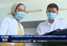 Чем привлекательно село для медработников?