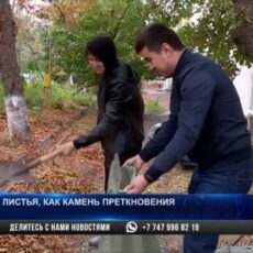 Листья жгут: Осенние костры могут обернуться штрафом