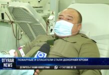 Пожарные и спасатели стали донорами крови