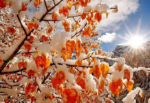 Привет, ноябрь! осень