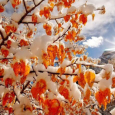 Привет, ноябрь! осень