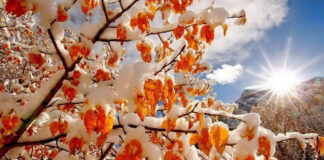 Привет, ноябрь! осень