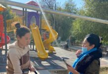 Два района Шымкента лидируют по переписи населения