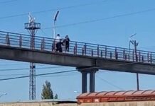 Полицейские Туркестана спасли женщину, пытавшуюся спрыгнуть с моста