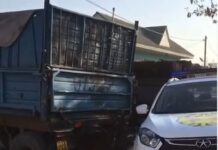 В полиции Шымкента прокомментировали страшную находку: тело младенца в мусорном контейнере