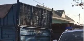 В полиции Шымкента прокомментировали страшную находку: тело младенца в мусорном контейнере