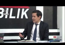 Кто следит за бездомными животными в Шымкенте?