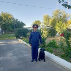 В Шымкенте служебная собака «Грей» вычислила вора-домушника кража