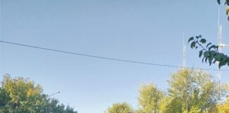 В Шымкенте служебная собака «Грей» вычислила вора-домушника кража