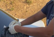 В Келесском районе пенсионер вез в машине 1 кг маковой соломки