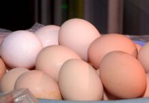 Почему в Казахстане дорожают яйца? рост цен