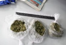 47 пакетиков с марихуаной пытались перебросить на территорию зоны в Шымкенте марихуана