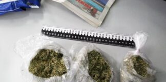 47 пакетиков с марихуаной пытались перебросить на территорию зоны в Шымкенте марихуана