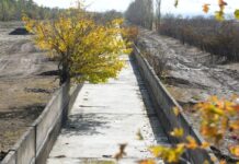 В Шымкенте увеличат площади орошаемых земель канал