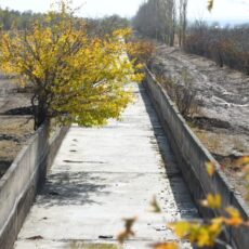 В Шымкенте увеличат площади орошаемых земель канал