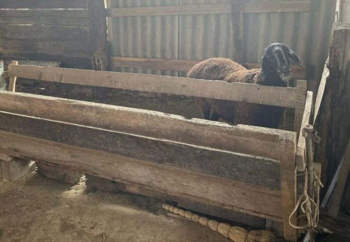 whatsapp-image-2021-10-12-at-095726