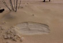 Почему в Шымкенте выпал коричневый снег коричневый снег