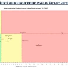 матрица по коронавирусу